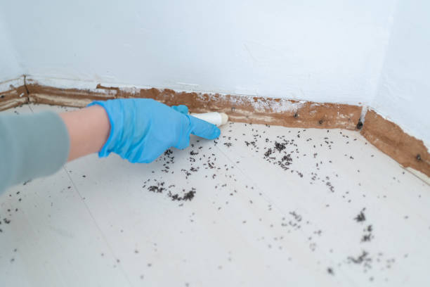 Best Pest Exclusion Services  in Montoursville, PA